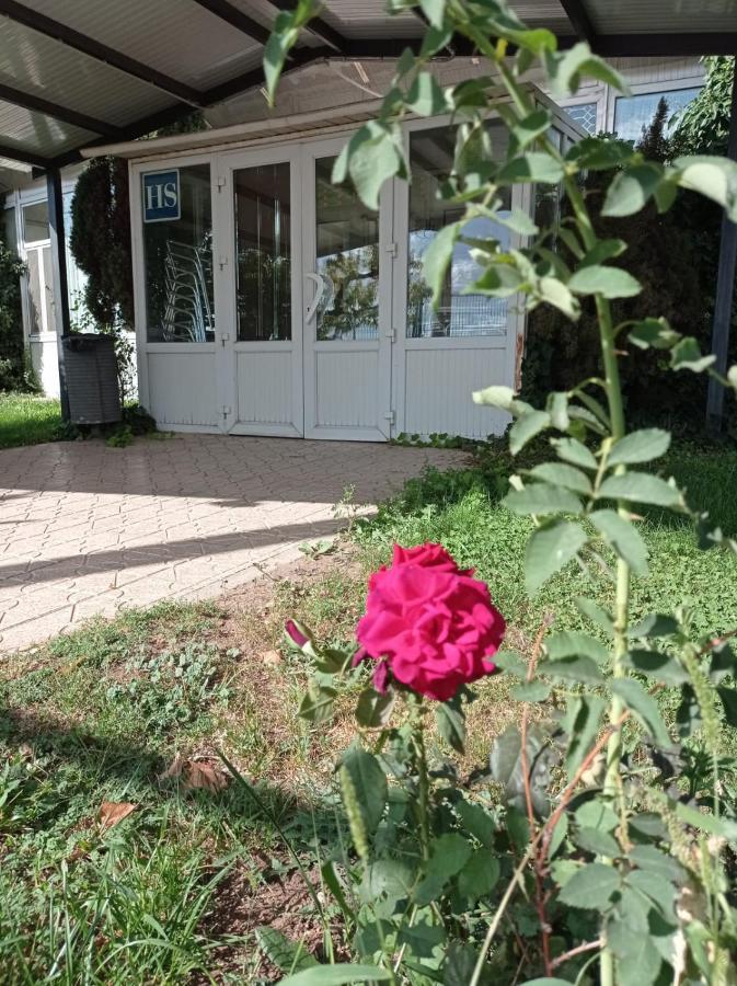 Hostal Brin Monreal del Campo Bagian luar foto